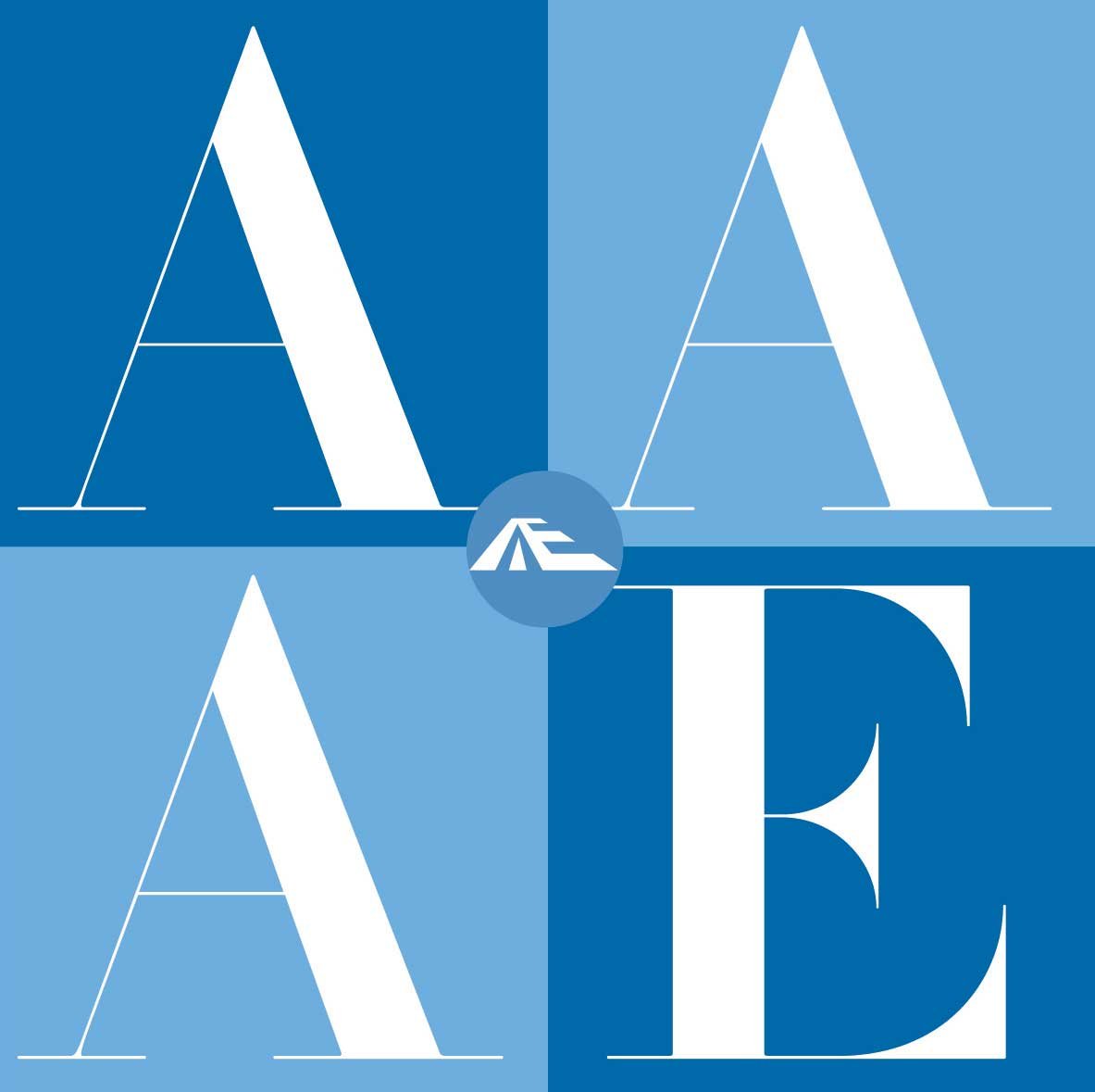 AAAE_Logo_WEB.jpg]