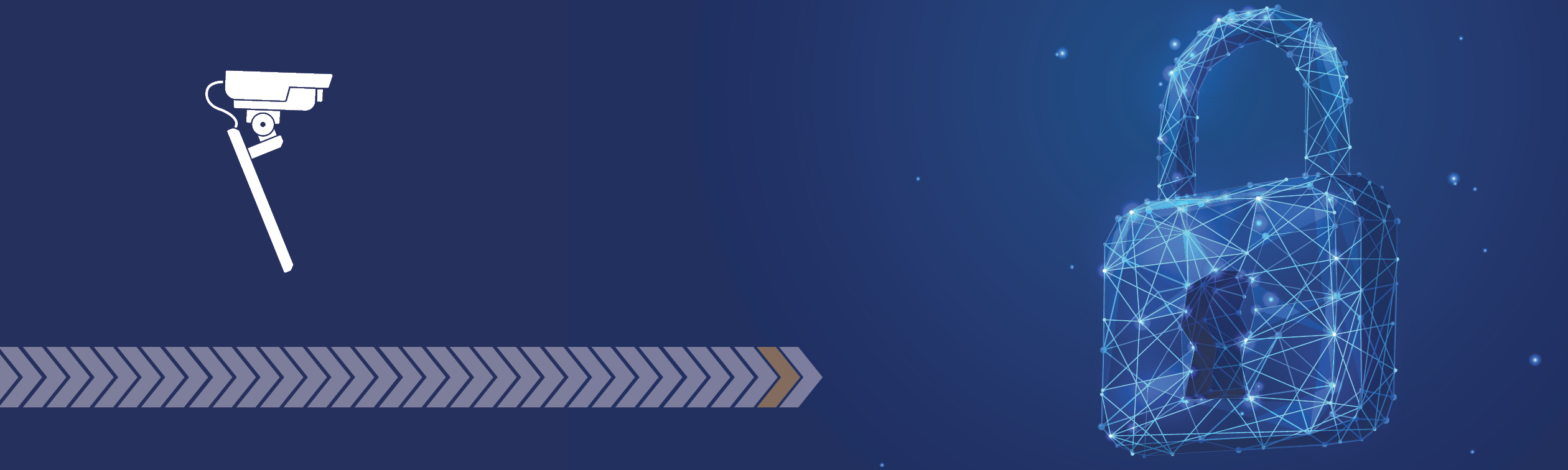 ACE Security Banner