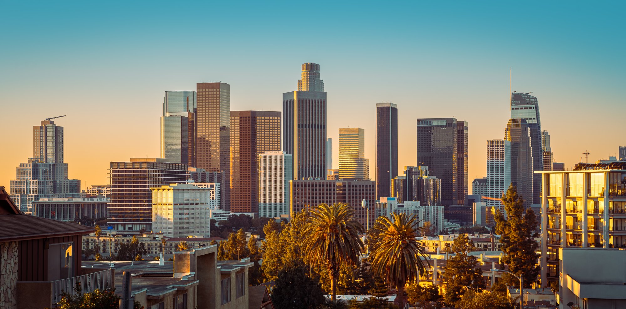 LA Cityscape