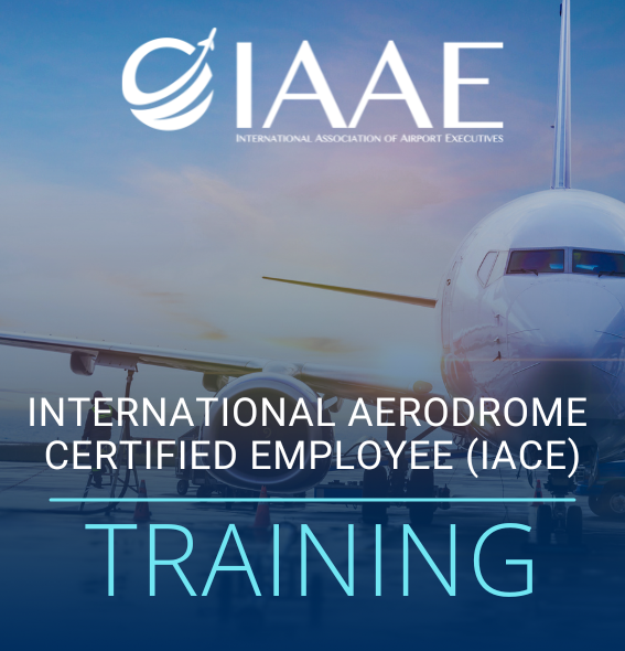 IACE Half Width Ad