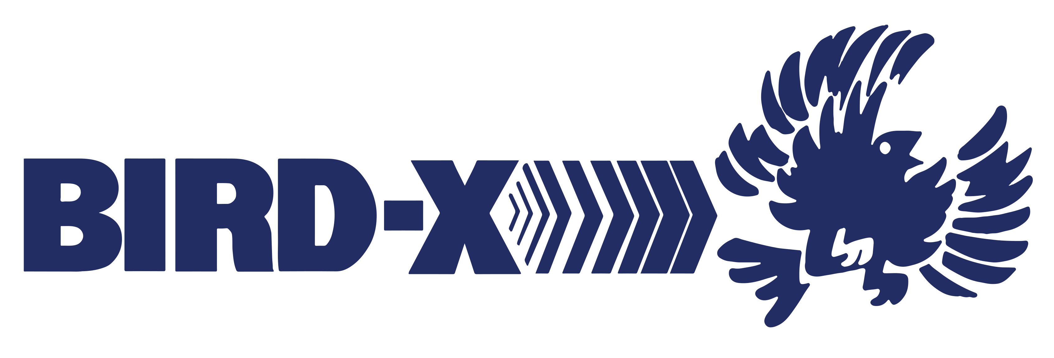 Bird-X-Main-Logo