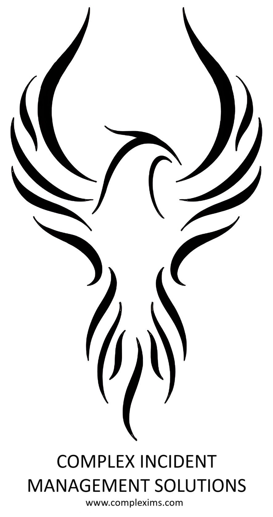 Complex Incident Management Solutions LLC