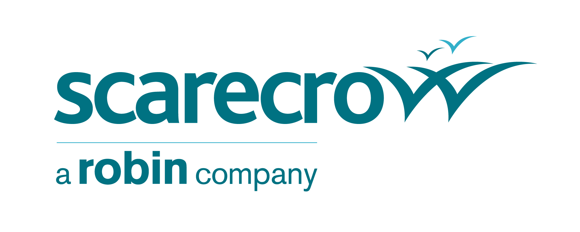Scarecrow - A robin company