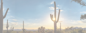 PHX Annual Header Image