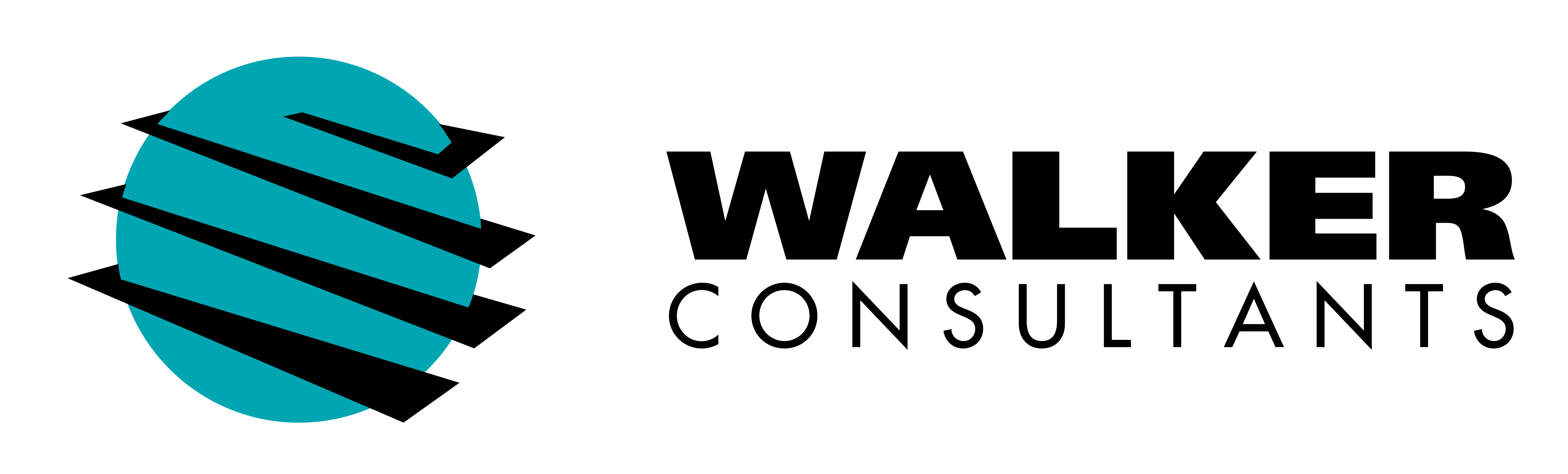 Walker Consultants_Horizontal (002)