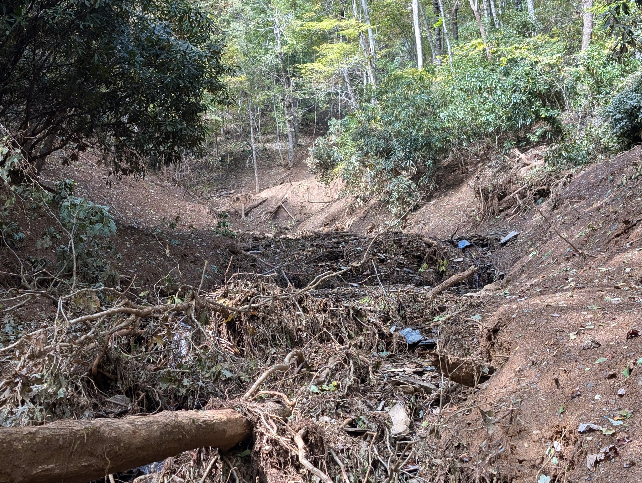 Looking down on landslide