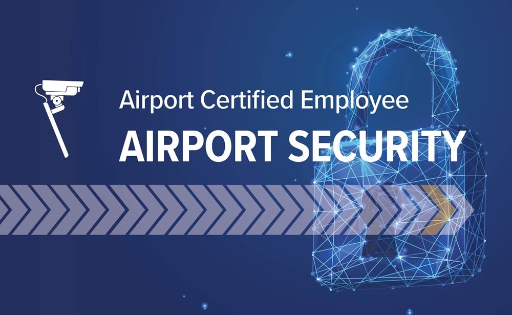 ACE Security Review Course