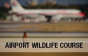 Basic Wildlife Management Virtual Training